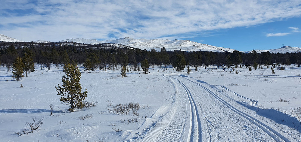 Et lite stykke å gå på løype bort til fjellet, hvor det så ut til å være lite snø
