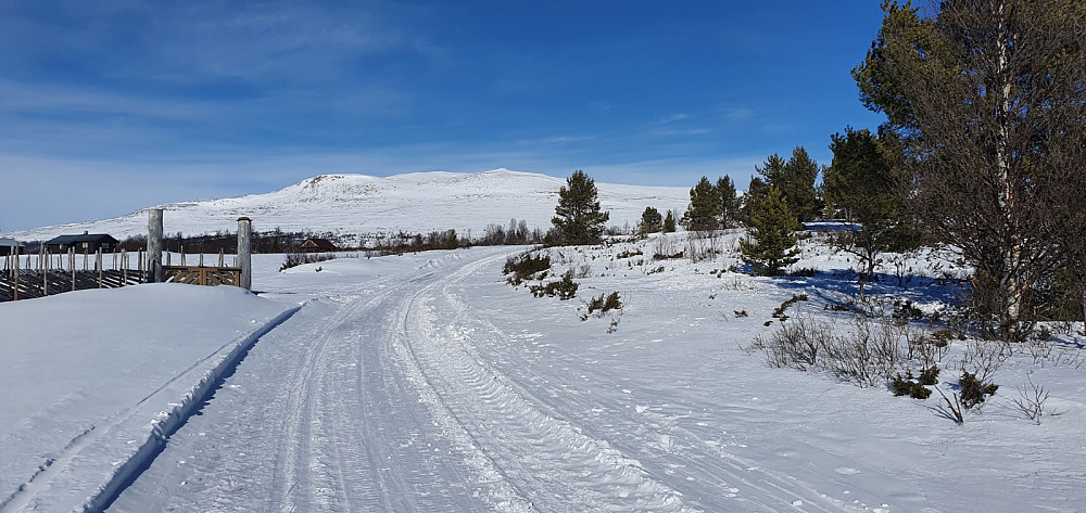 Fra turstart og opp mot fjellet