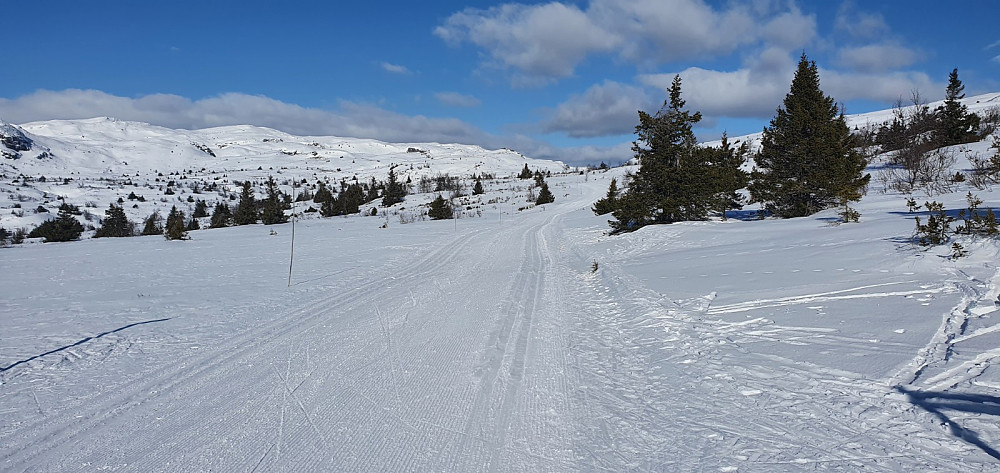 Sporene fylte seg med fokksnø, så da var det bra plass i sporet til fjellskiene