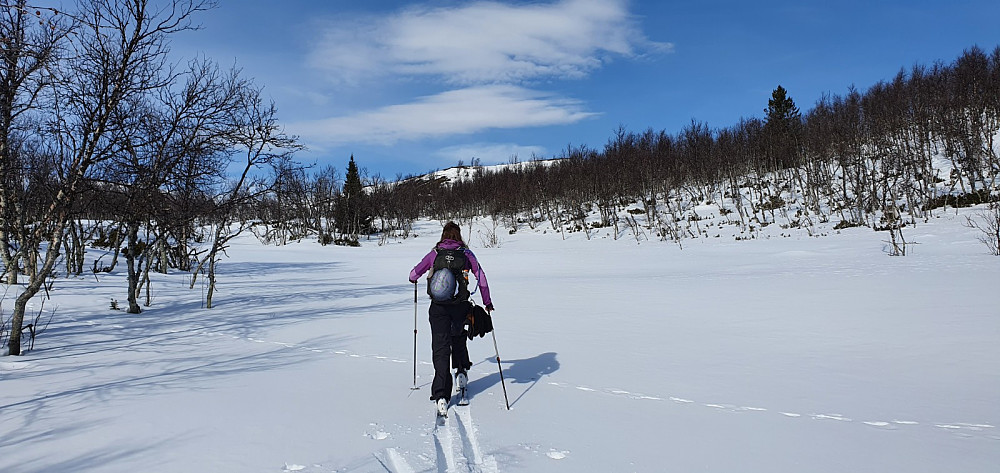 Vi tok av løypa for å ta en tur oppom toppen av Jentfjellet