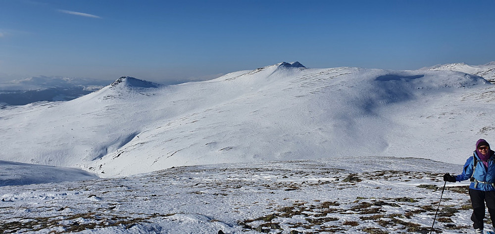 Tilbakeblikk mot Gravdalsfjellet litt opp i fjellsiden på Gråhøa. På returen skal vi ake ned i bekkedalen man ser på bildet