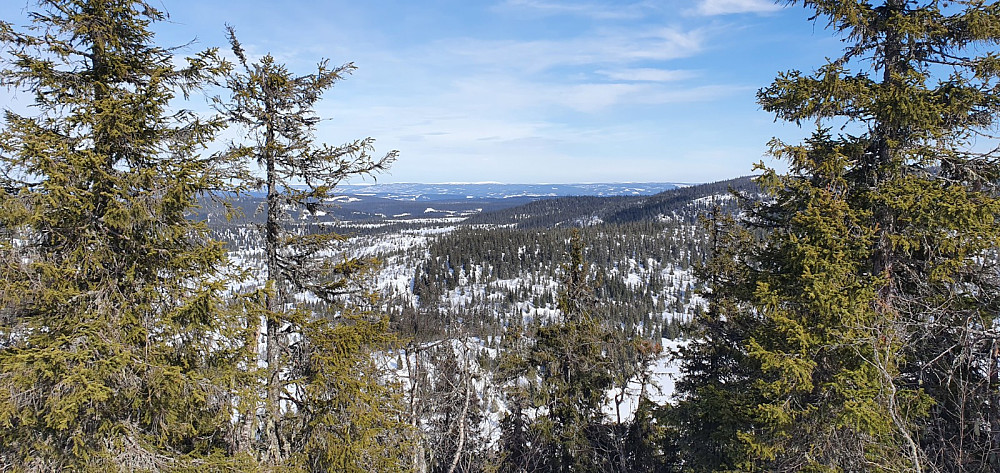 Utsikt fra toppen av Bergevassknotten og mot Nevelfjell