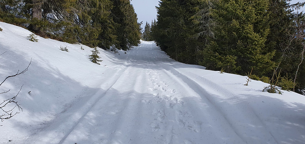 Siste biten mot toppen var det ikke brøyta, og litt glatt nysnø gjorde at jeg stedvis måtte trille sykkelen