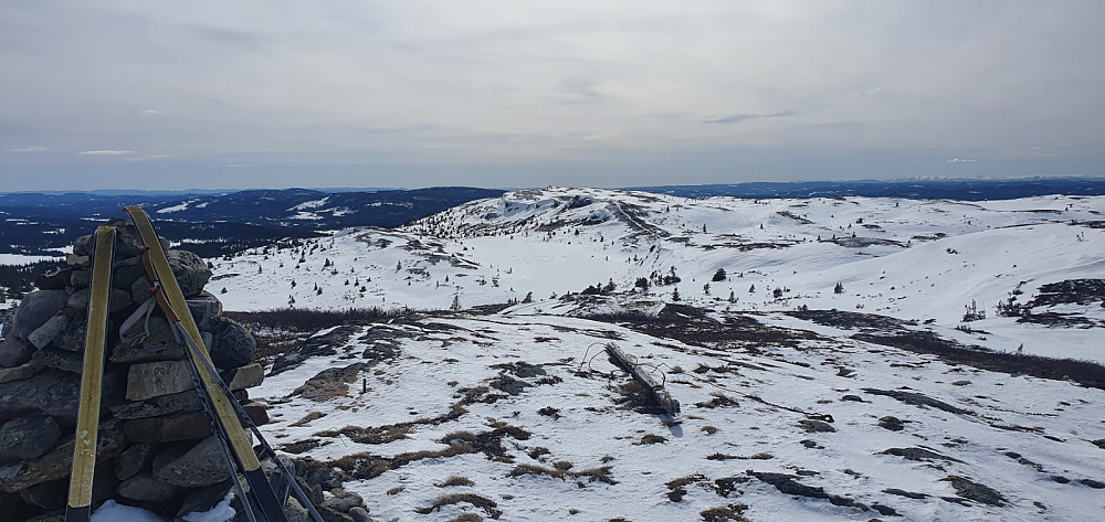 Fra Myssmørhelje og mot Prestkjerringa