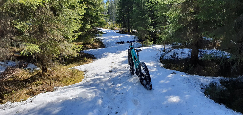 Inne i skogen var det noen partier hvor snøen ikke bar
