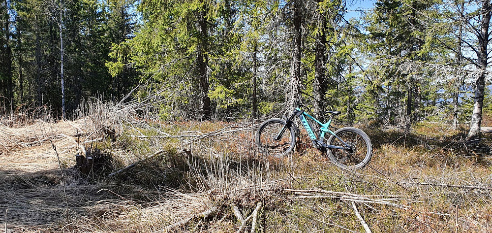 Stien over Sauhaugen bød på noen utfordringer, og det var stedvis svært bratt på turen videre nedover