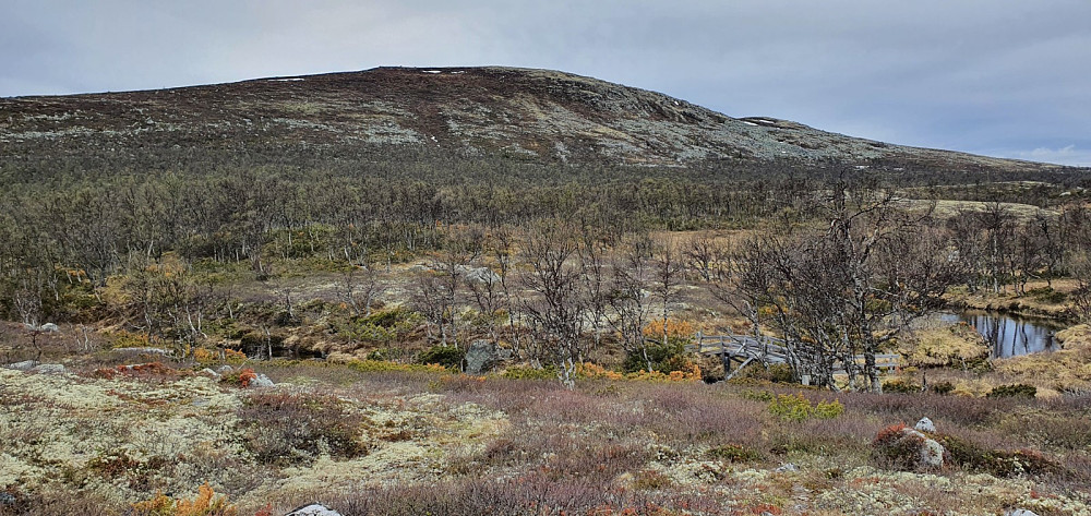 Her fikk jeg Musvola i sikte, og kunne krysse brua over bekken før jeg startet bratt opp fjellsiden. Jeg så ingen sti opp