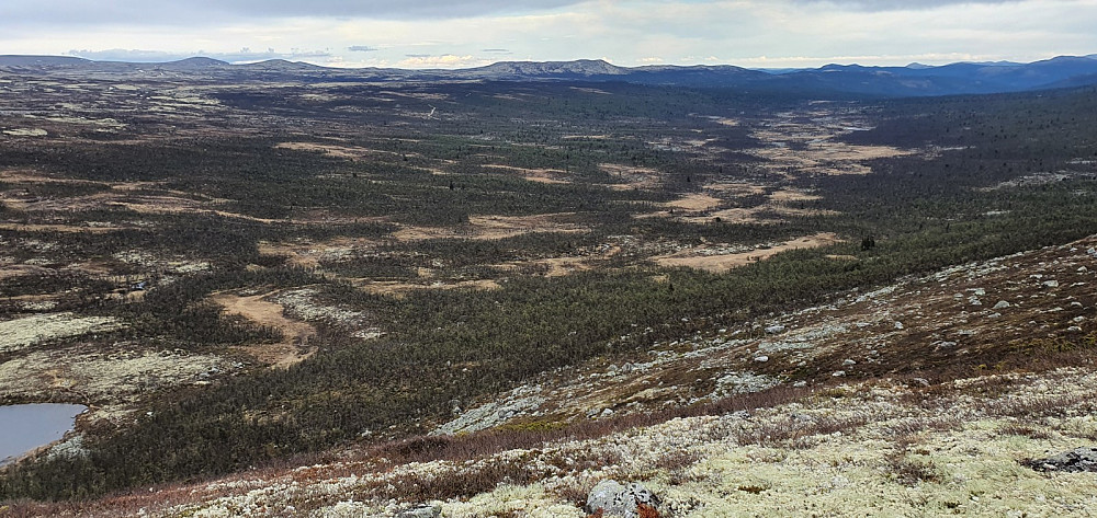 Fra toppen og tilbake mot start