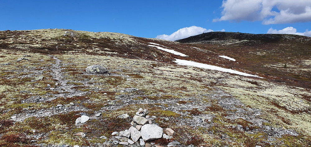 Jeg fulgte stien opp på ryggen, hvor jeg tok av en sti til høyre mot toppen