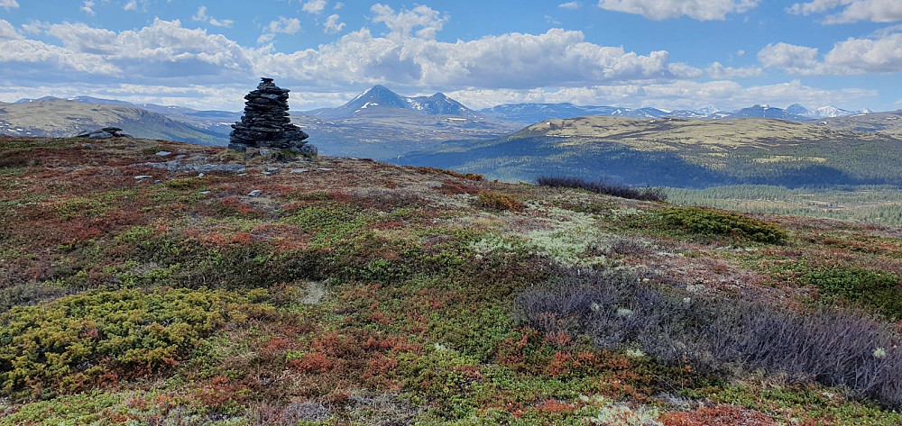 Etter en tur gjennom skogen opp den bratte sia, fikk jeg flott utsikt fra toppen. Her mot Storsølenkletten