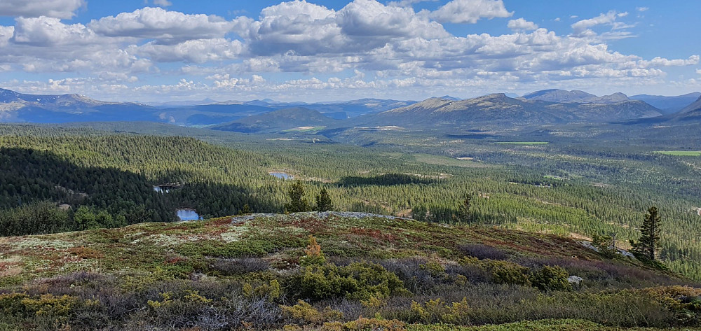 Utsikt ned mot Alvdal