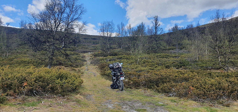 Litt bratt opp første biten, men deretter var det lett å gå