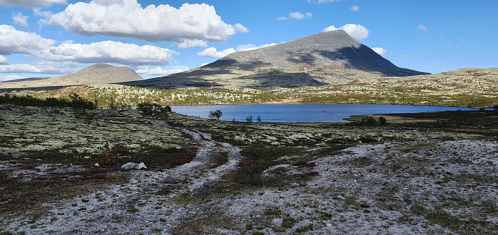 Jeg syklet fra sjøen og bort dit det tok av en kjerrevei mot elva