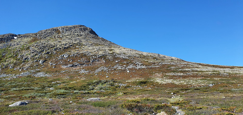 Jeg syklet bort til Øvre Flatseter og tok beina fatt opp Storkletten