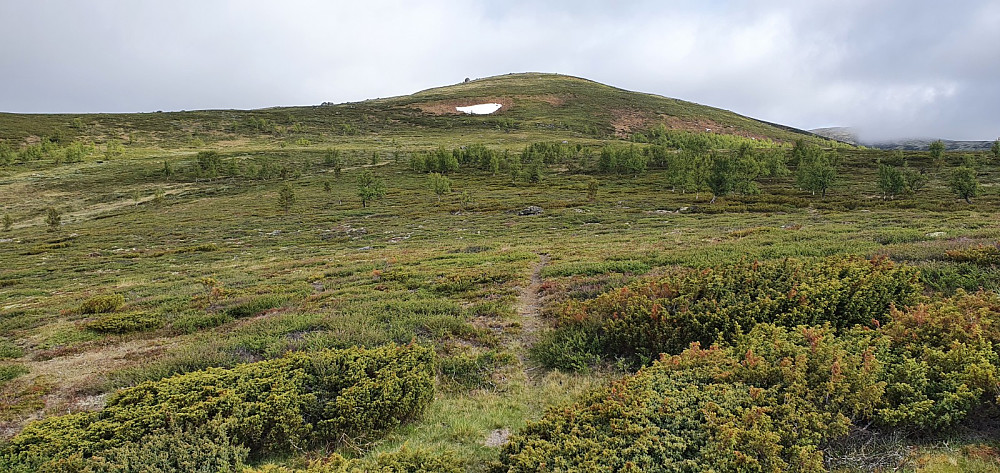 Jeg startet på sykkelen opp hovedstien, før jeg tok av denne stien inn mot fjellet