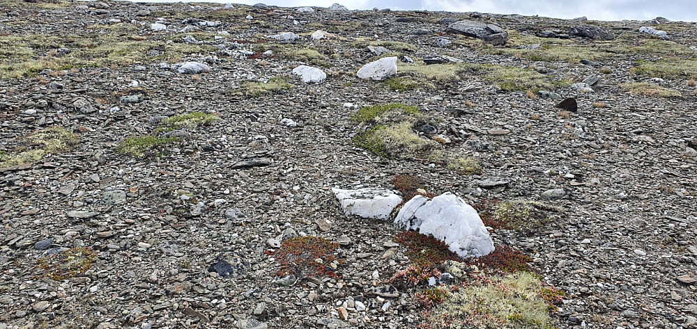 En del hvite marmorsteiner i grusen på toppen