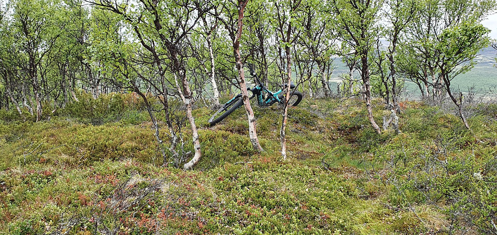 Det gikk fin sykkelsti opp på toppen av Ørnkletten