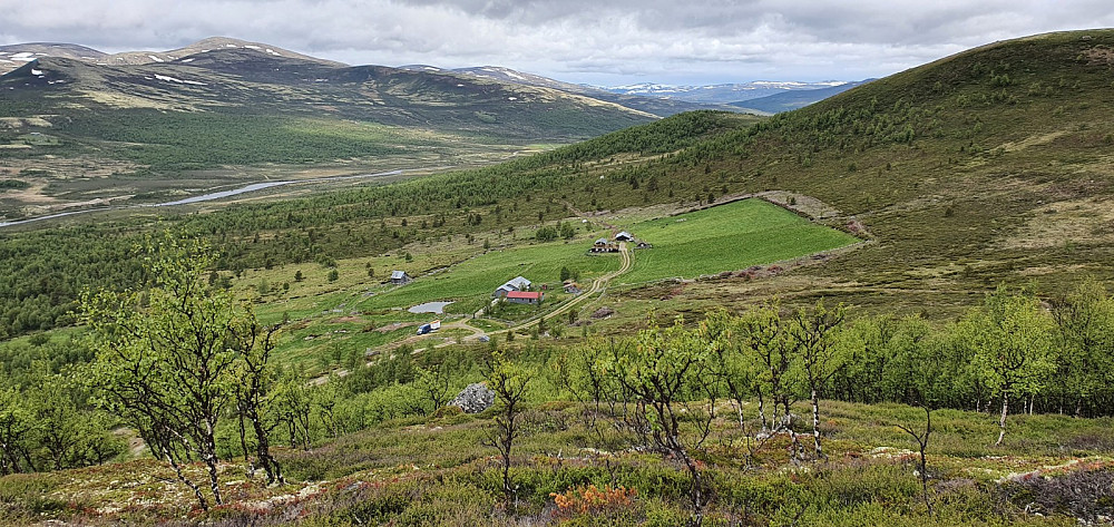 Fra Ørnkletten og ned på start, ved Ørnklettsetran
