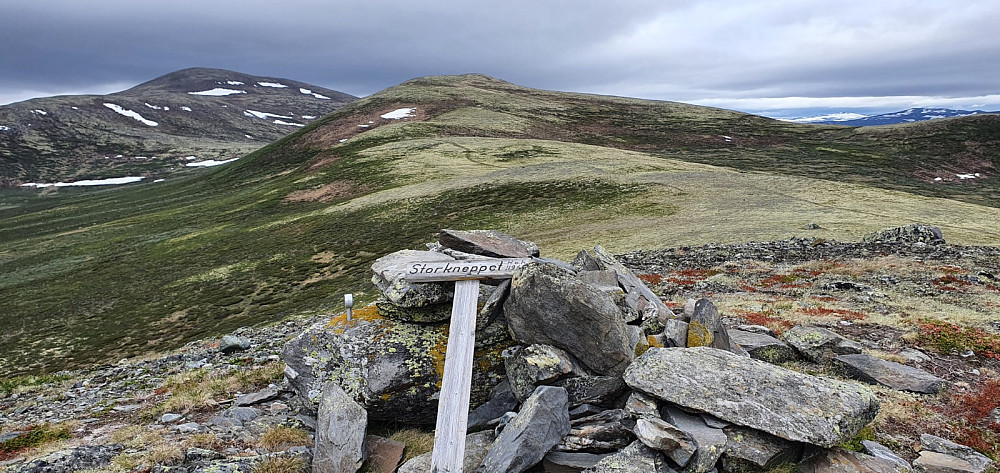 Toppen av Storkneppet og mot Stugulikampen