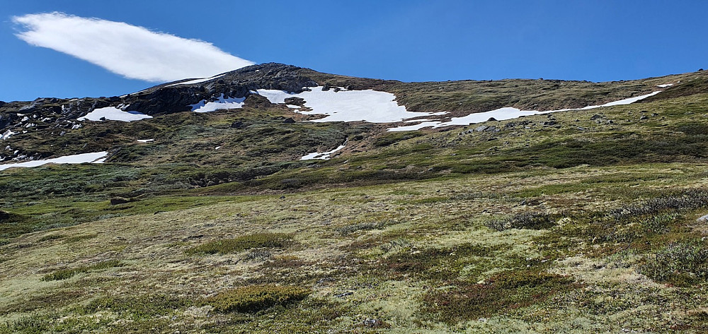 Etter å ha krysset bekken var det veldig lettgått opp fjellsiden