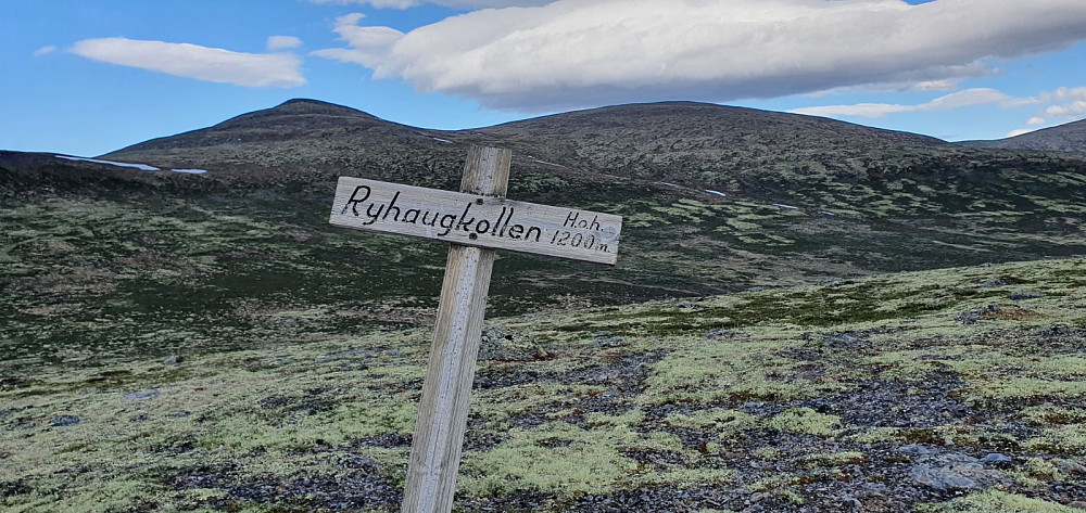Fra Ryhaugkollen og med Marsjøfjellet i bakgrunnen