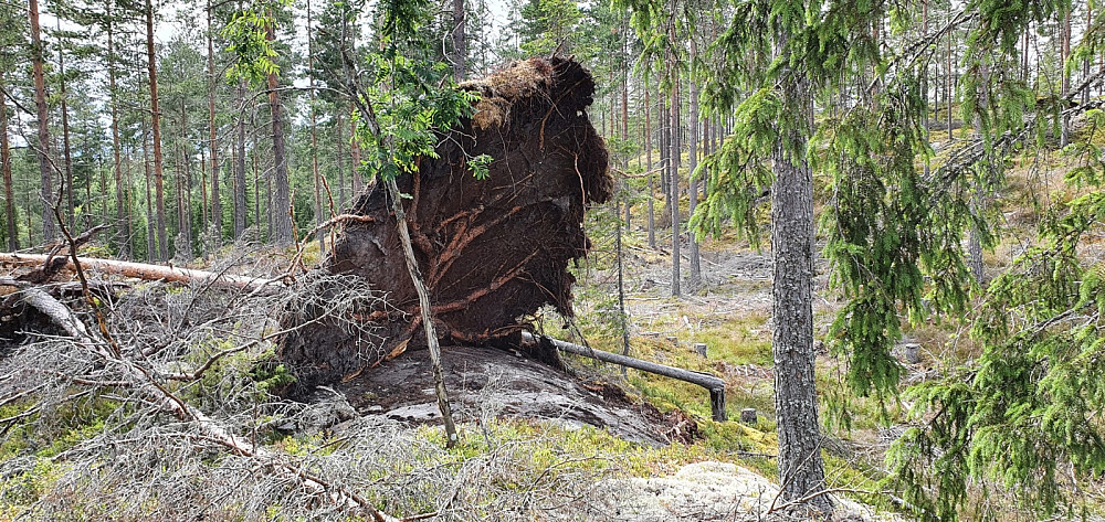 Her var det et realt rotvelt