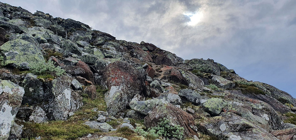 Ikke spesielt egna for sykling siste biten opp