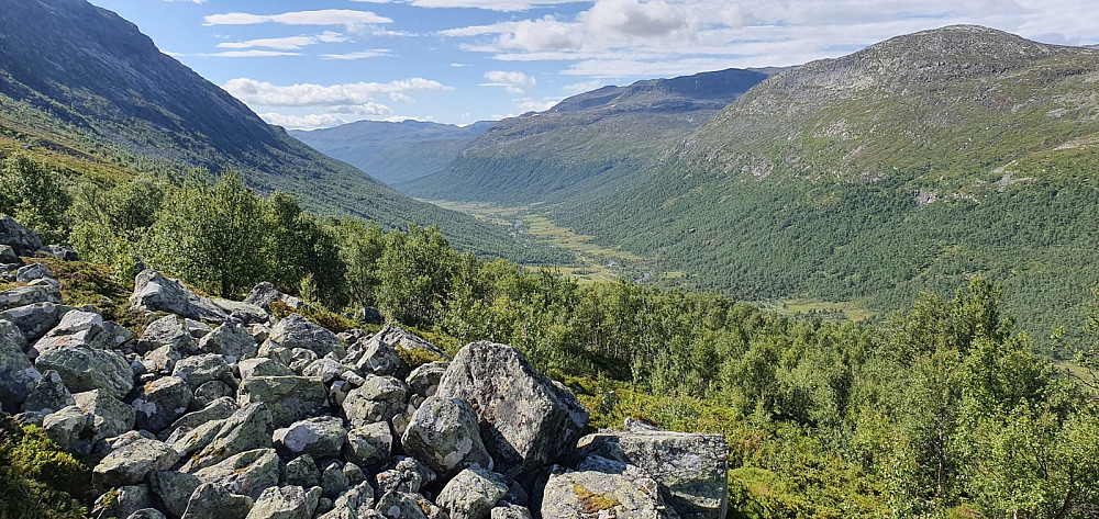 Utsikt nedover Grøndalen et stykke opp i lia