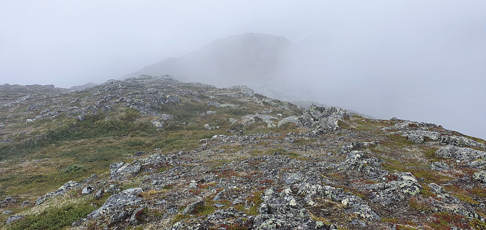 Da var høyeste punkt i sikte