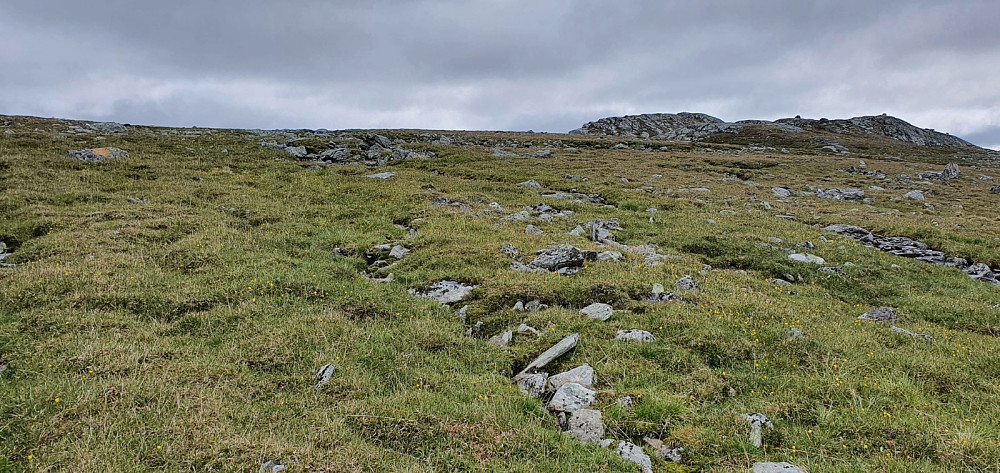 Veldig lett å gå på gressdekket grunn