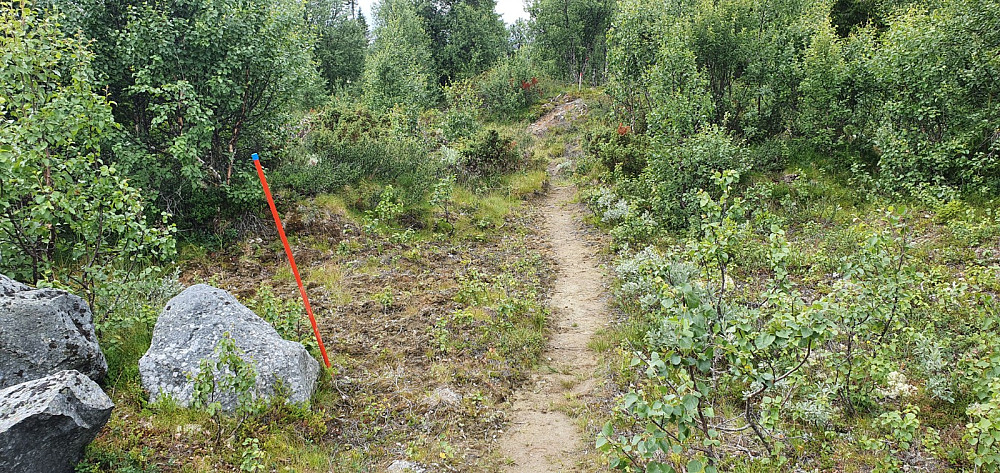 Lett å gå på stien her