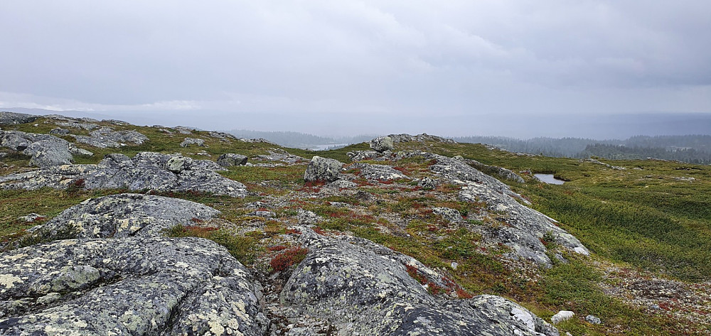 Da kom det en regnskur nordfra