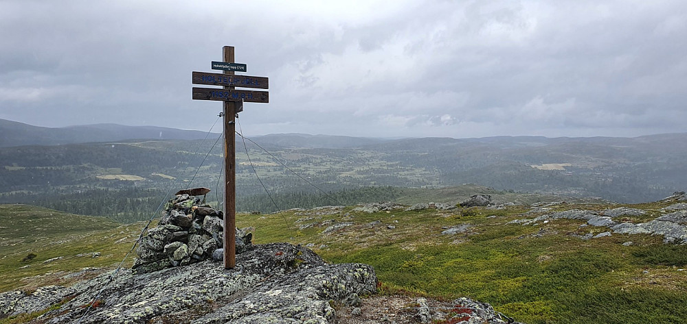 Toppen av Holtelifjellet