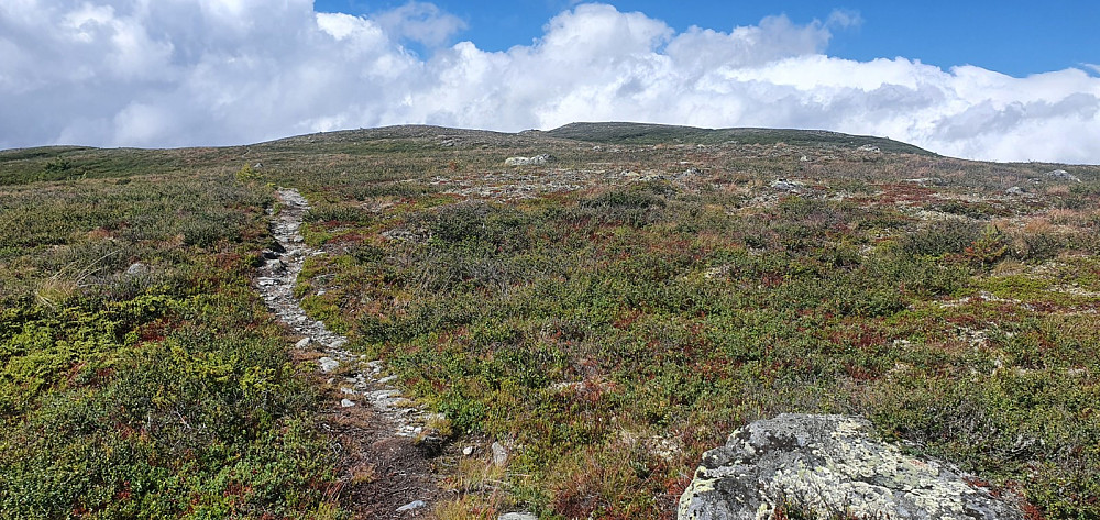 Oppe på fjellet var det ganske moderat stigning inn mot toppen
