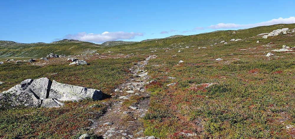 Etter snaue to hundre høydemetre bikket jeg kanten opp på fjellet og så at det var mange fine små topper innover her