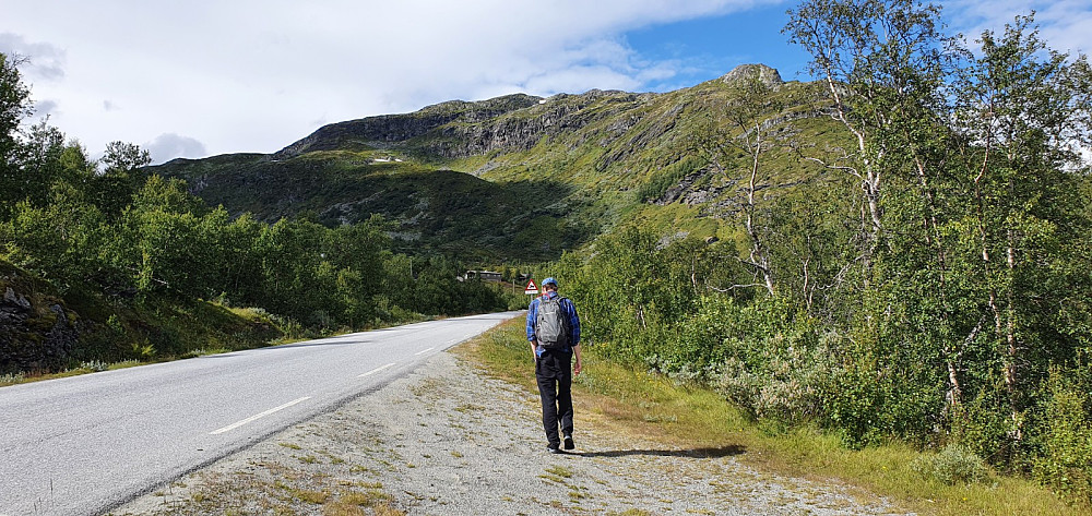Vi parkerte litt nedenfor stistart, og det ble noen metere på asfalt før vi tok opp stien. Stølsnøse i bakgrunnen