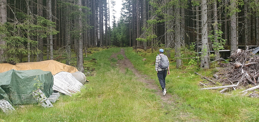 Her startet vi opp en sti, men kom raskt til en vei vi kunne følge et godt stykke opp mot toppen