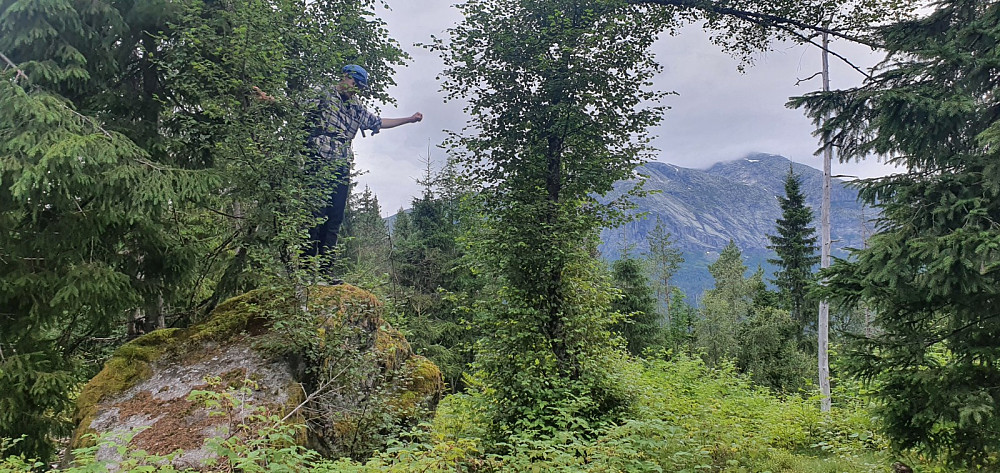 Denne steinen var høyeste punkt. I bakgrunnen ser vi morgendagens turmål, Lønahorgi