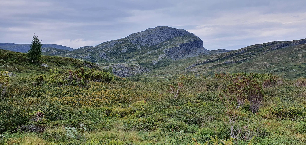 Raudbergkampen fra bekken nedenfor parkeringsplassen