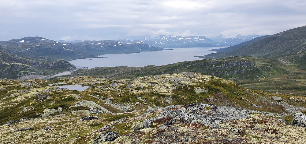 Utsikt ned på Tyin