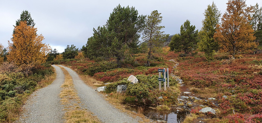 Det gikk av et par stier ved Putten seter og opp til Karihaugen. Jeg valgte imidlertid å følge veien til Fugleskjellsætre