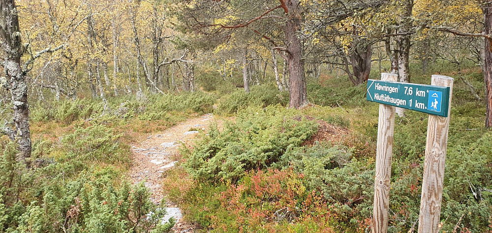 Da var jeg på stien mot Kluftåhaugen