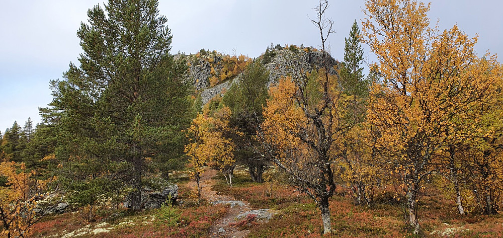 Nedenfra så Kluftåhaugen markant ut