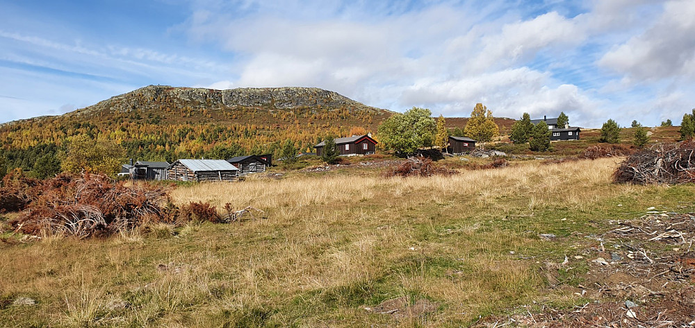 Fri sikt opp på Vardhøe fra hytteveien jeg syklet opp mot stistart