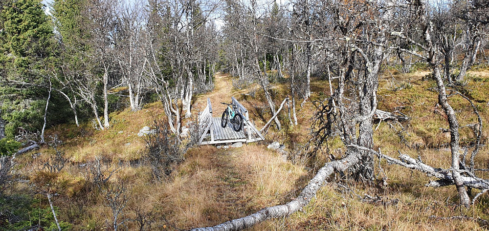 Jeg tok brua over Samtjønnsbekken. Rett etter brua traff jeg en elgjeger og det var greit å melde i fra til jaktlaget at jeg var i området