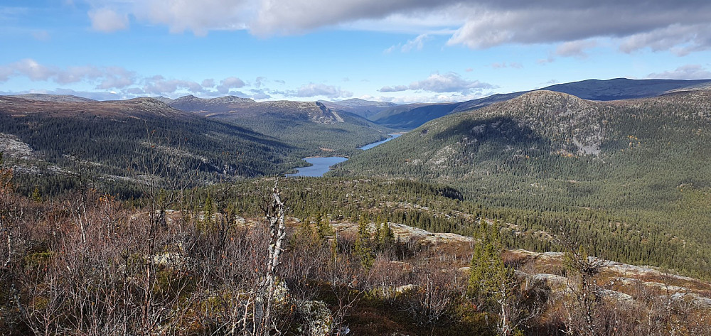 A million dollar view. Jeg satte igjen sykkelen på kjerreveien og tok en avstikker opp på Bjørnskarven. Her fra Blørnskarven og opp Imsdalen
