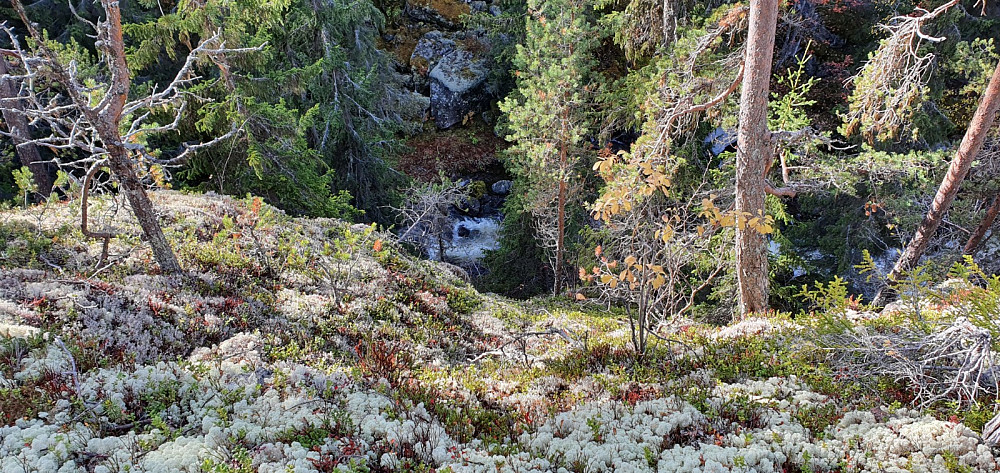 Samtjønnbekken renner i et skikkelig juv siste biten ned mot Imsdalen