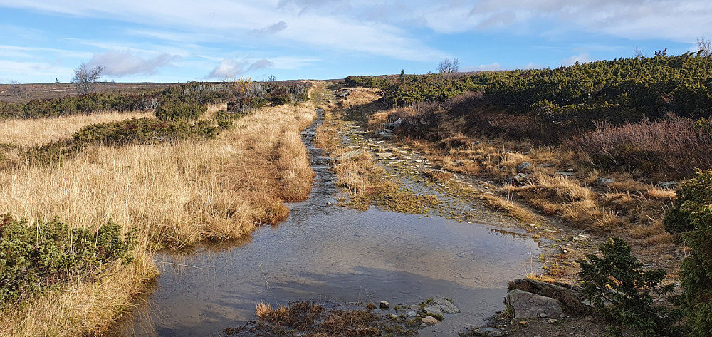 Flott traktorvei i starten gjorde det lett å sykle, selv om det var en del våte partier