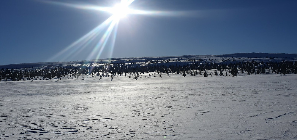 Fra Øvre Moksjøen og opp mot Veslefjell som blir turens første lille topp