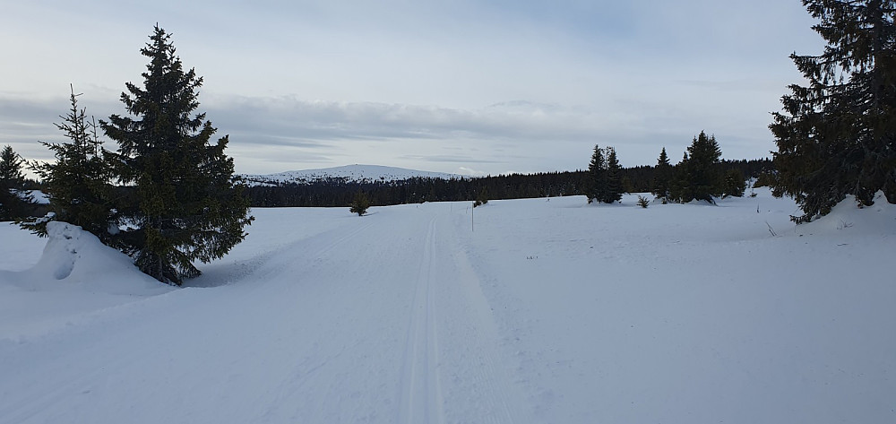 Jeg startet på løypa i dag.